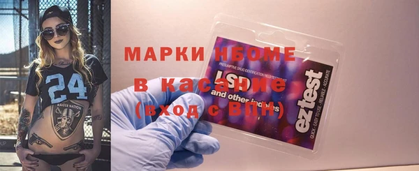 шишки Верхний Тагил
