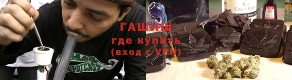 шишки Верхний Тагил