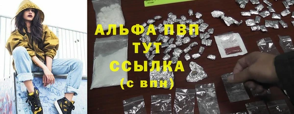 тгк Верея
