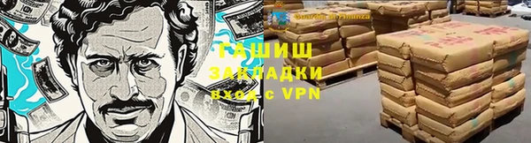 шишки Верхний Тагил